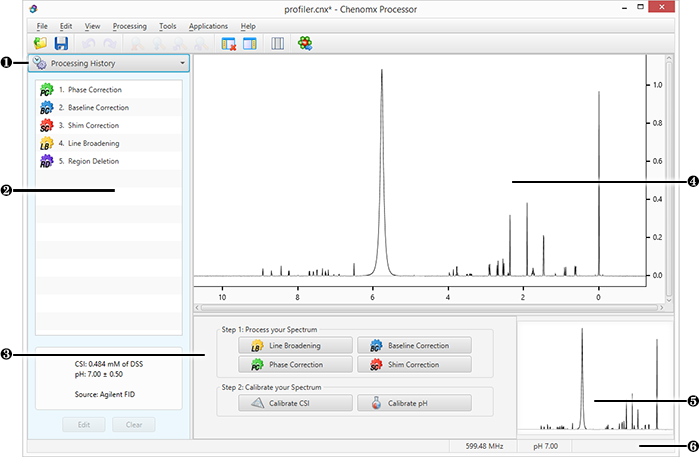 Image of the Processor main window